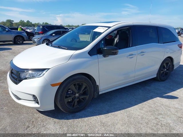 Honda Odyssey Sport 2024 5FNRL6H75RB068568 Image 2