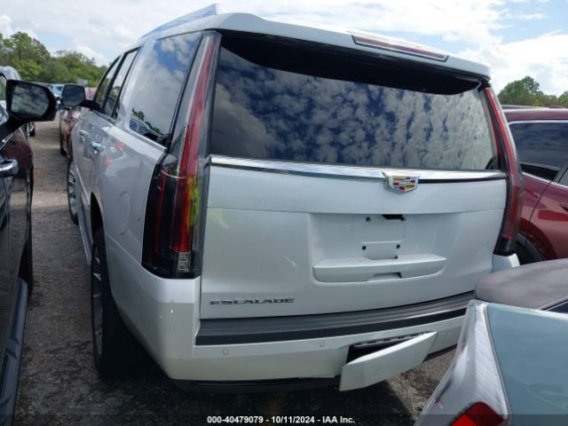 1GYS3BKJ3LR180506 Cadillac Escalade 2wd Luxury