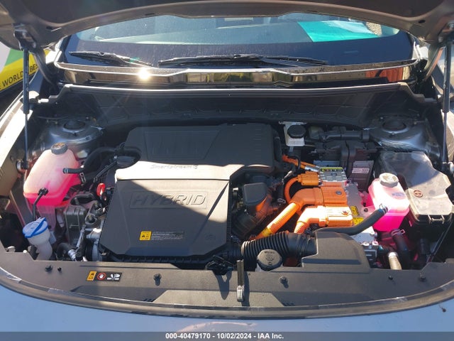 KIA NIRO SX 2024 KNDCT3LE2R5131394 Image 10