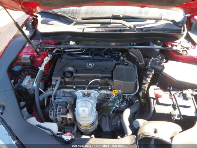 19UUB1F61KA002903 Acura Tlx Tech   A-spec Pkgs/w/a-spec Pkg Red Leather
