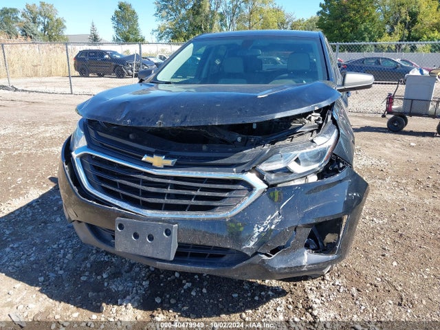 Chevrolet EQUINOX LS 2019 3GNAXSEV9KL263942 Image 6