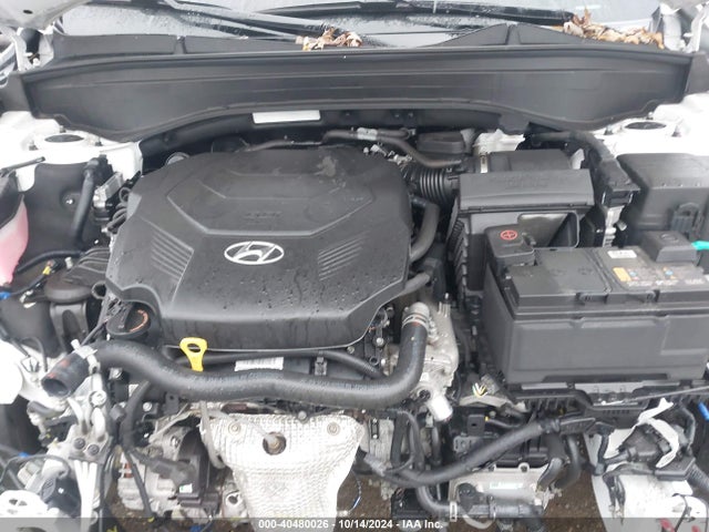 Hyundai Palisade Calligraphy 2023 KM8R7DGE6PU609913 Image 10