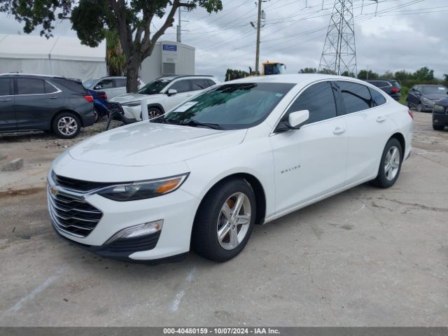 2020 CHEVROLET MALIBU 1G1ZC5ST3LF082366 Photo 1