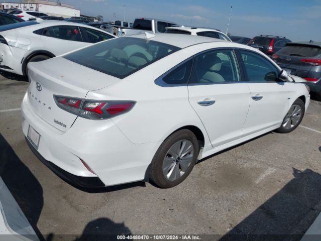 KMHE24L35KA087741 Hyundai Sonata Hybrid Se