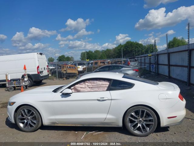 1FA6P8TH7H5236655 Ford Mustang Ecoboost
