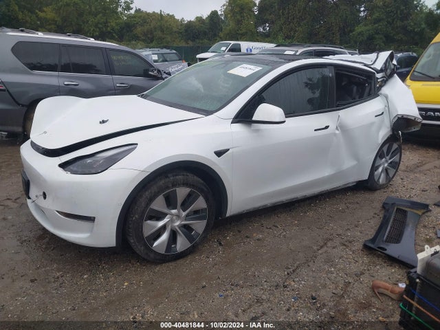 2022 TESLA MODEL Y 7SAYGAEE9NF524350 Photo 1