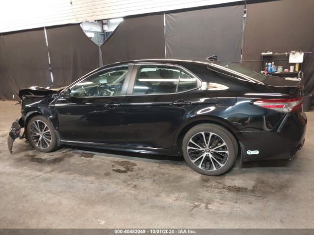 4T1J31AK1LU521996 Toyota Camry Se Hybrid