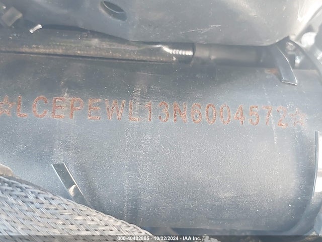 2022 CFHG 300SS LCEPEWL13N6004572 Photo 9