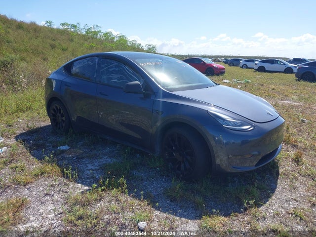 2021 TESLA MODEL Y 5YJYGDEE1MF067482 Photo 0