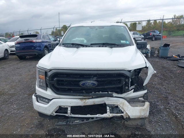 1FTFW1E57PFC03784 Ford F-150 Xlt