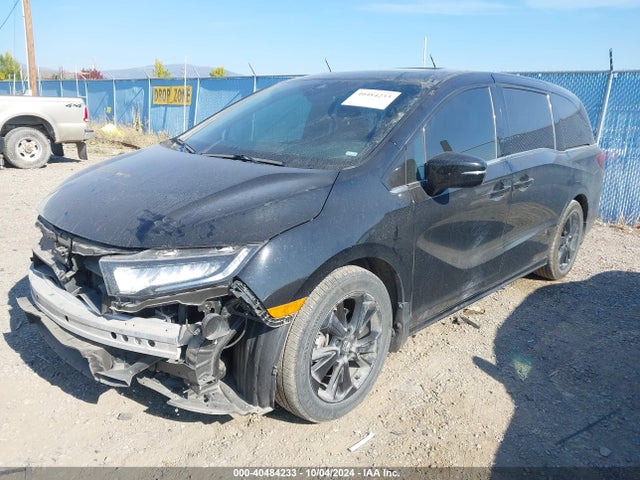 Honda Odyssey Sport 2023 5FNRL6H70PB057328 Image 2