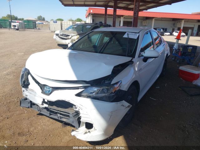 4T1B31HK2KU007776 Toyota Camry Hybrid Le