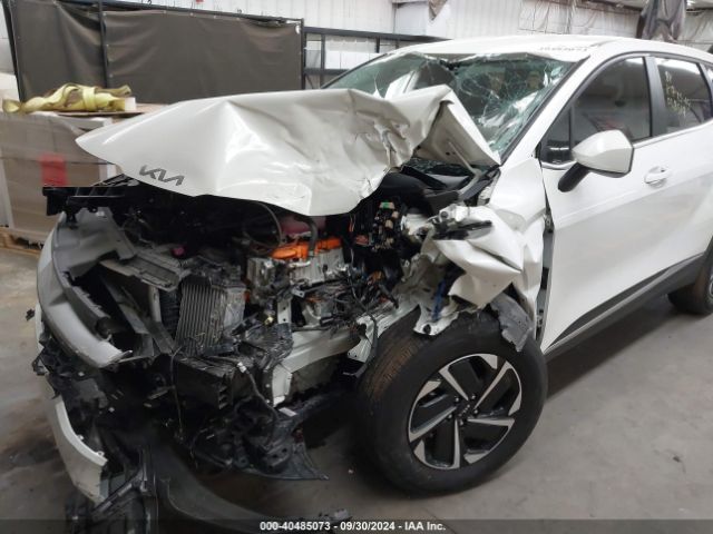 KNDPUCAG1P7028519 KIA Sportage Hybrid Lx