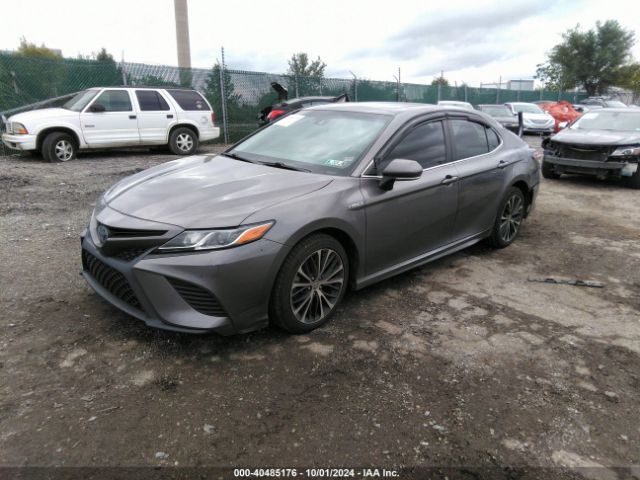 4T1J31AK7LU016187 Toyota Camry Se Hybrid