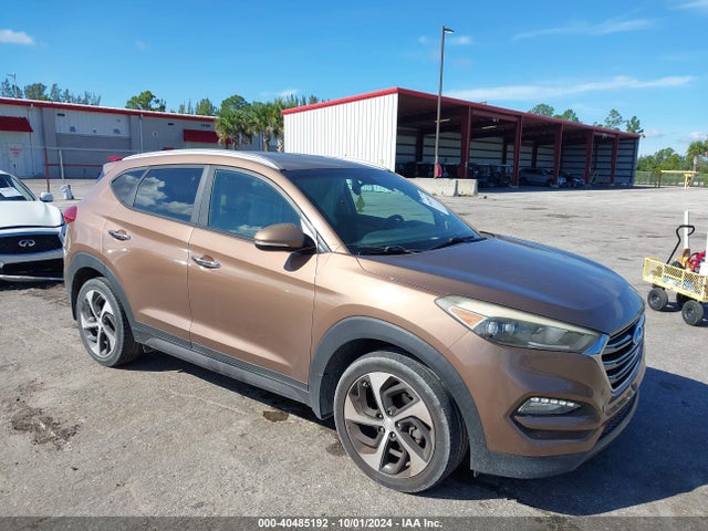 Hyundai Tucson Limited 2016 KM8J33A28GU185216 Image 1