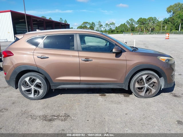 Hyundai Tucson Limited 2016 KM8J33A28GU185216 Image 13