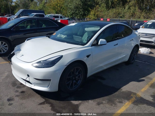 2023 TESLA MODEL 3 5YJ3E1EA4PF562095 Photo 1