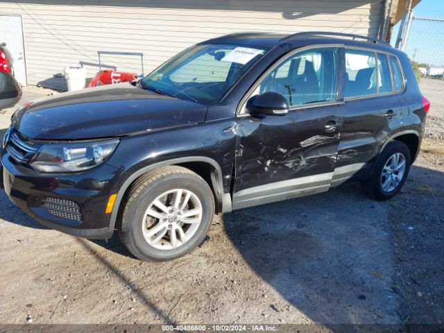 WVGBV7AX9HW506851 Volkswagen Tiguan 2.0t S