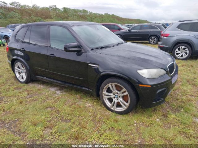 2010 BMW X5 M 5YMGY0C54ALK25320