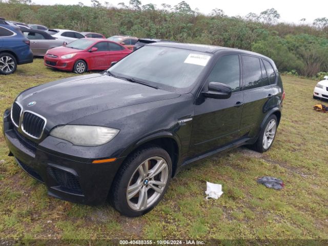 2010 BMW X5 M 5YMGY0C54ALK25320 Photo 1