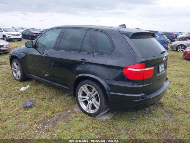 2010 BMW X5 M 5YMGY0C54ALK25320 Photo 2