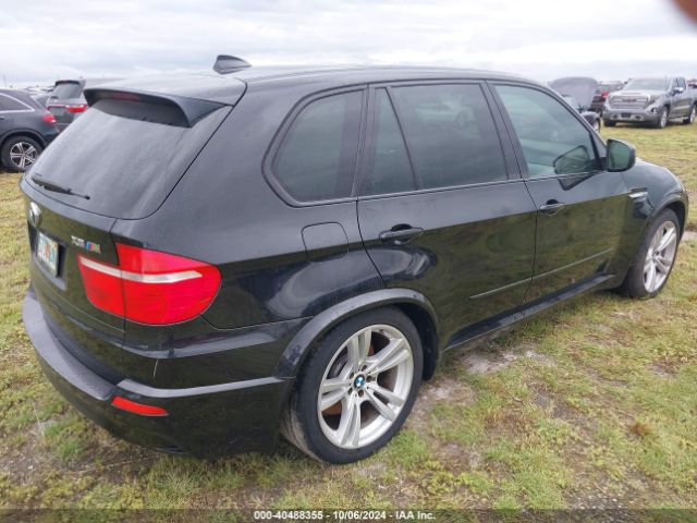 2010 BMW X5 M 5YMGY0C54ALK25320 Photo 3
