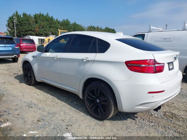 5YMGZ0C58E0C40510 BMW X6 M