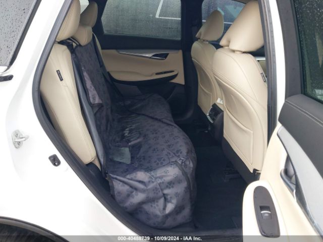 3PCAJ5BA8MF126635 Infiniti Qx50 Luxe