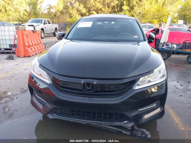 Honda ACCORD EX 2016 1HGCR2F78GA081984 Image 12