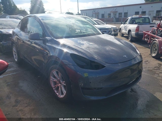 2020 TESLA MODEL Y 5YJYGDEE7LF049728 Photo 0