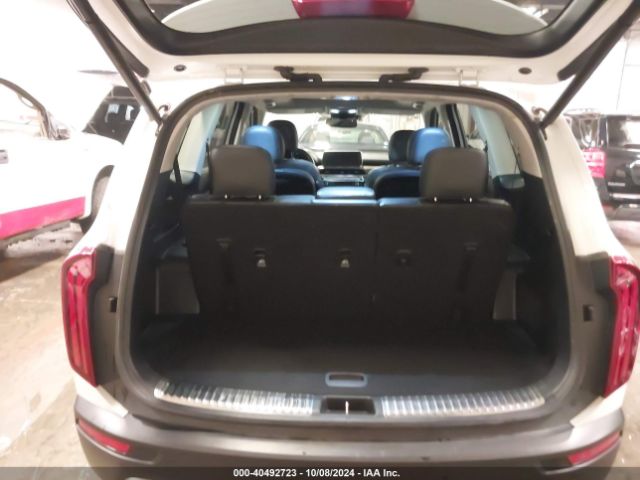 5XYP5DHC3LG072489 KIA Telluride Sx