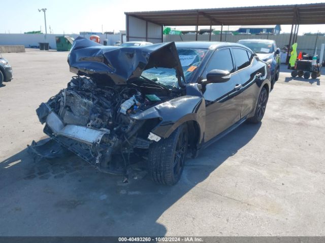 1N4AA6AP6HC440465 Nissan Maxima 3.5 Sv
