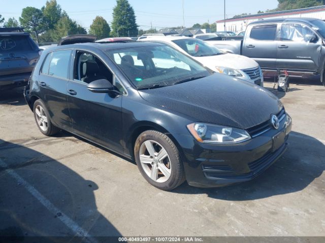 3VW217AU0HM029875 auction archive image