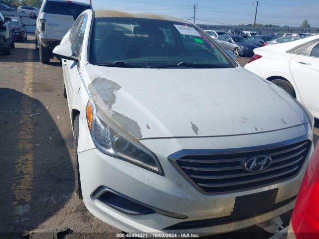 5NPE24AF4HH561388 Hyundai Sonata