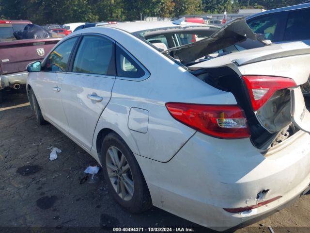 5NPE24AF4HH561388 Hyundai Sonata