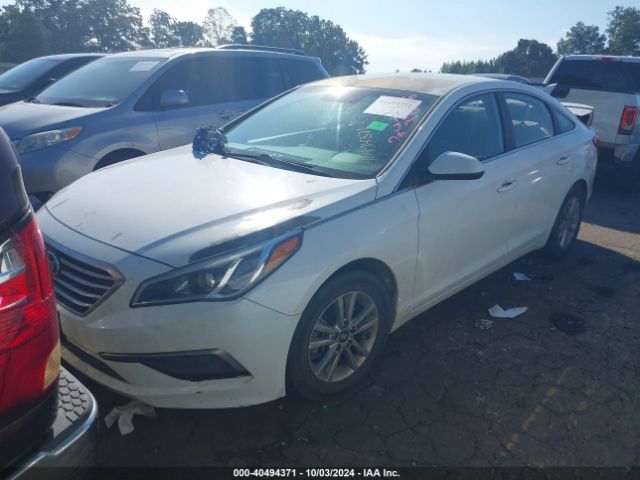 5NPE24AF4HH561388 Hyundai Sonata