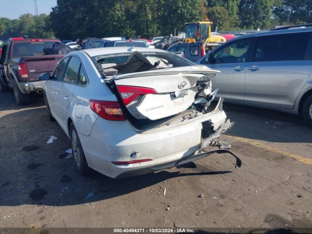 5NPE24AF4HH561388 Hyundai Sonata
