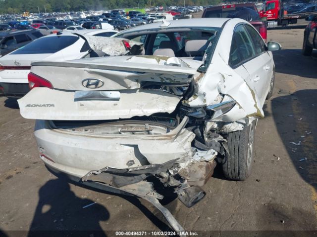 5NPE24AF4HH561388 Hyundai Sonata