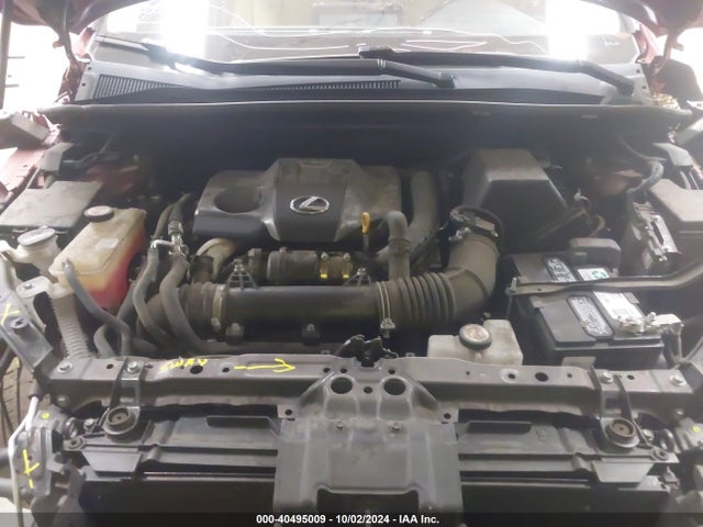 JTJDARBZ6L5011670 Lexus NX 300