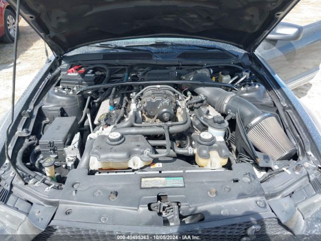 2009 FORD SHELBY GT500 1ZVHT89S995133303 Photo 9