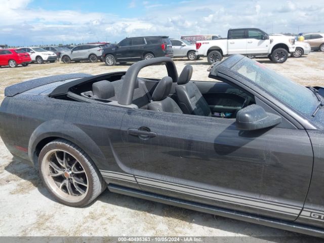 2009 FORD SHELBY GT500 1ZVHT89S995133303 Photo 5