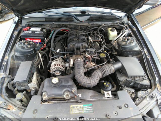 2006 FORD MUSTANG 1ZVFT80NX65227099 Photo 9