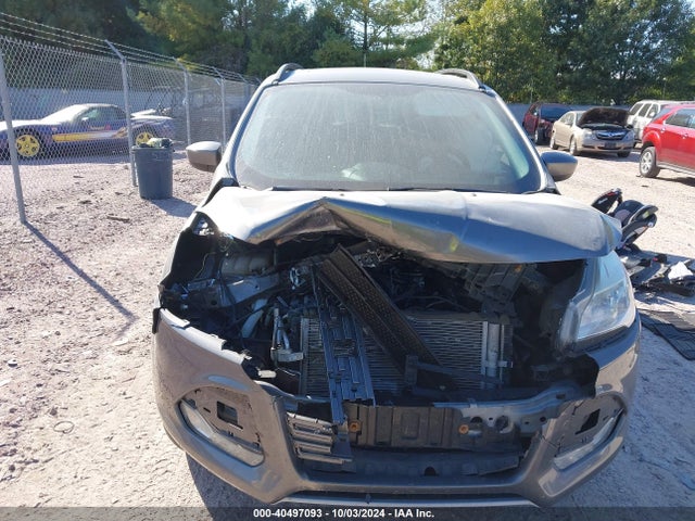 Ford ESCAPE SE 2014 1FMCU9GX0EUC54814 Image 12