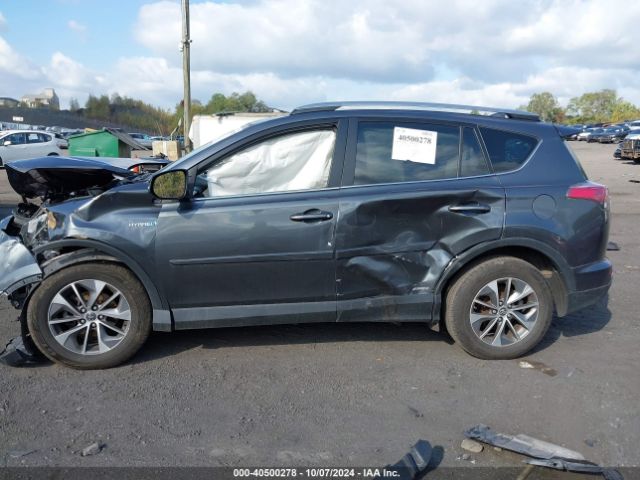 JTMRJREV6HD116269 Toyota Rav4 Hybrid Xle