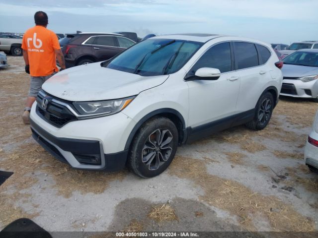 2HKRW1H57LH420972 Honda Cr-v 2wd Ex