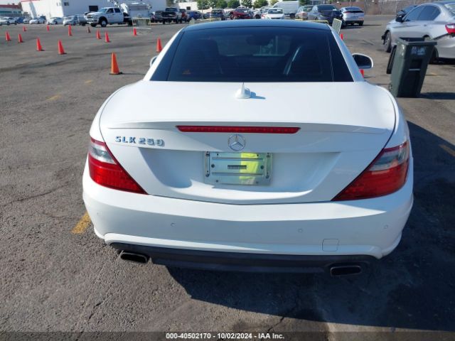 WDDPK4HA3EF090039 Mercedes-Benz SLK 250