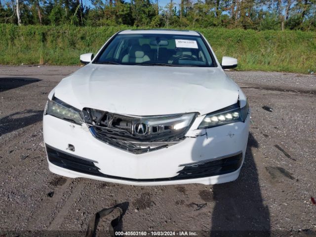 19UUB1F33GA000051 Acura TLX