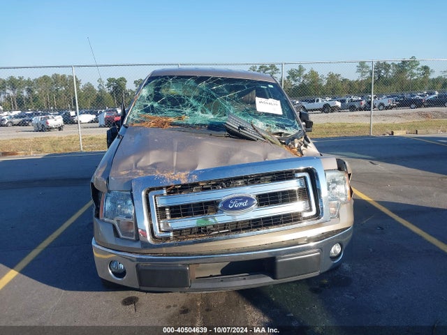 Ford F-150 Xlt 2014 1FTFW1CF6EKD93156 Image 12