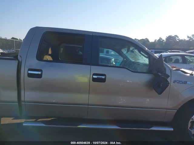 Ford F-150 Xlt 2014 1FTFW1CF6EKD93156 Image 13