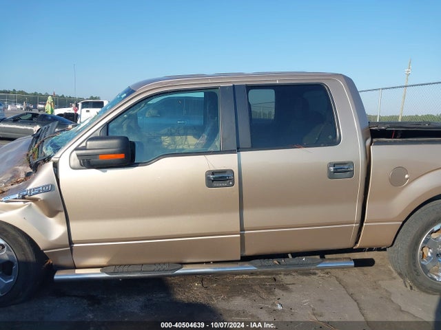 Ford F-150 Xlt 2014 1FTFW1CF6EKD93156 Image 14